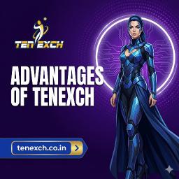What Makes Tenexch India&rsquo;s #1 Platform for Live Cricket Betting?