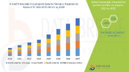 Global Endoscopic Visualization Systems Market Forecast Indicates Rising Size