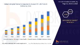 Global Volleyball Market Expands with Rising Sports Participation and Professional Leagues