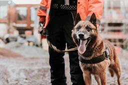 What to Look for in a Reliable Security Company Manchester