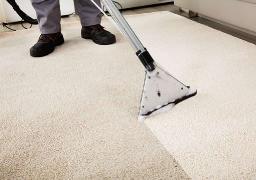 Carpet Cleaning Services With Trusted Results From Carpet Bright UK