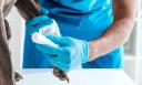 Pet Dermatology Specialists: Advanced Care for Healthy, Happy Pets