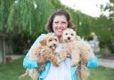 Find Your Perfect Companion: Pre-Trained Puppies and Dogs for Sale at Aly’s Puppy Boot Camp