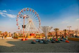  Liwa Desert Safari &ndash; Journey in to the heart of the Rub&rsquo;al Khali Desert &ndash; The Majesty of Dunes