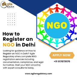 Simplified Process: How to Register an NGO in Delhi