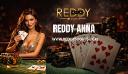 Reddy Anna Login Process: Fast, Secure, and Reliable