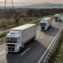 Procedural Efficiency and Documentation in Brisbane Clearances