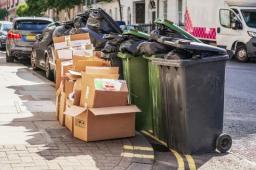 Weekly vs Fortnightly Bin Collection: What You Need to Know