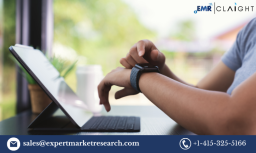 Wearable Sensors Market: Growth, Trends, and Key Players 2025-2034
