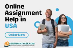 Getting Online Assignment Help in the USA Becomes Easy Now