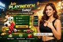 Join Playinexch Today &ndash; Fast Signup & Easy Account Setup