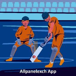 AllPanelExch App &ndash; A Closer Look at Performance and Features