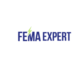 FEMA Expert: A Simple Way to Handle FEMA in India