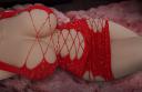 Exploring the Different Types of Half-Length Real Torso Love Dolls