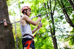 DIY vs. Professional Tree Cabling & Bracing Service in West Mobile: Why Expertise Matters