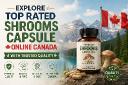 Explore top rated shrooms capsule online Canada with trusted quality