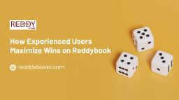 How Experienced Users Maximize Wins on Reddybook