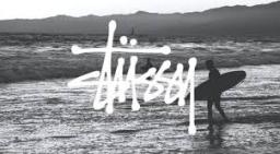 Stussy Hoodie: A Timeless Icon of Streetwear Culture