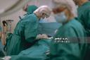 Spine Surgery cadaver labs training
