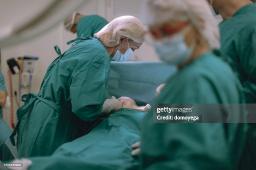 Spine Surgery cadaver labs training