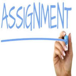 How to write an Essay: a beginners guide