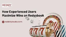 How Experienced Users Maximize Wins on Reddybook