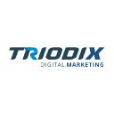 How Triodix Delivers Affordable SEO Services for Small Business and Leads Among Top Digital Marketing Agencies in California