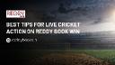 Best Tips for Live Cricket Action on Reddy Book Win