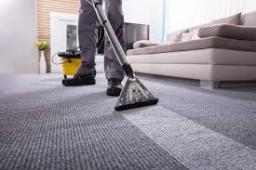 ﻿Carpet Cleaning Tips for Pet Owners and Allergy Sufferers