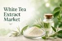 White Tea Extract Market Trends, Growth Drivers, and Emerging Opportunities to 2034