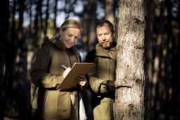 Vermont Timber Management Services: Enhancing Forest Health and Land Sustainability