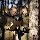 Vermont Timber Management Services: Enhancing Forest Health and Land Sustainability rated a 5