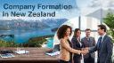 New Zealand Climate Tech & Carbon Removal Company Registration