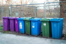 What to Look for in a Dependable Bin Collection Provider