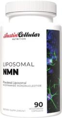 Austin Cellular Nutrition: A Modern Approach to Health and Wellness