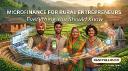 Microfinance for Rural Entrepreneurs: Everything You Should Know 