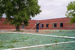 When to Schedule Hydroseeding North Texas: Optimal Planting Windows for the DFW Climate