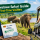 Udawalawe Safari Guide for First-Time Visitors rated a 5