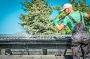 Gutter Cleaning Reservoir: Keep Your Gutters Clear and Your Home Protected