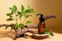 Natural Hair Products: A Clean Beauty Movement