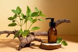 Natural Hair Products: A Clean Beauty Movement