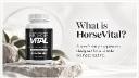 Horse Vital: What Makes This Program Powerful?