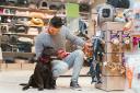 What’s Driving the Global Demand for Pet Products