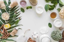 The Rise of Natural Skin Care Solutions