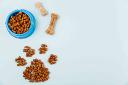 Rising Trends in the Pet Snacks and Treats Market You Should Know
