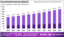 Household Cleaning Products Market Key Challenges and Risk Factors