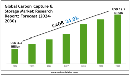 Carbon Capture & Storage Market Growth Forecast to 2030: Size & Demand Outlook 