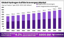 Hydrogen Sulfide Scavengers Market Trends in North America