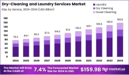 Beyond Fabric: Strategic Insights into the Global Laundry Services Landscape