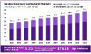 Calcium Carbonate Market Size & CAGR Insights